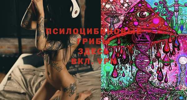 spice Пестово