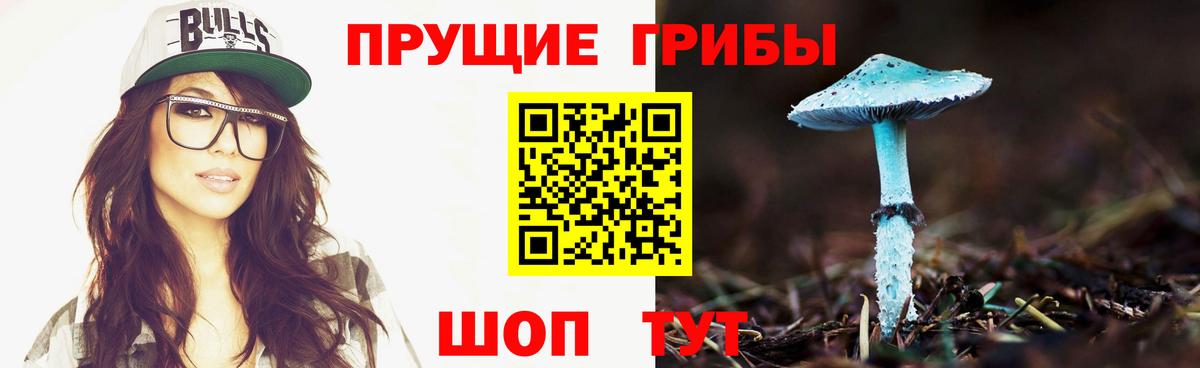 Галлюциногенные грибы мицелий  Вольск  Галлюциногенные грибы Cubensis 